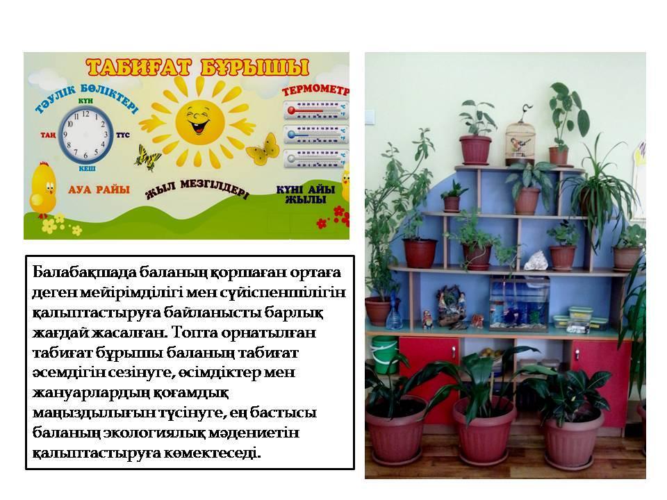 Біздің топ 