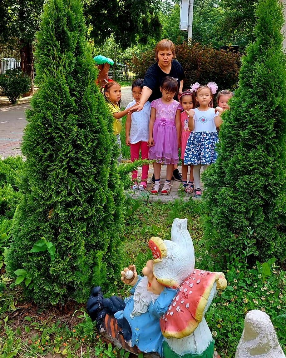 "Біздің өлкенің ағаштары"